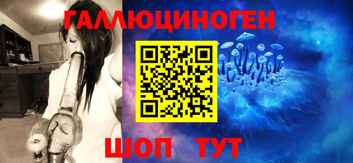 Псилоцибиновые грибы Psilocybe  Вход с VPN  Клинцы 